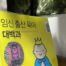 [서부] 정리수납사 준비과정(2025) | 친정엄마 산후도우미 자격증 취득부터 업체 등록까지 A to Z 완벽 정리