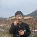 목화~~ 이미지