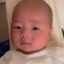 THE SPRING 이미지