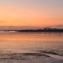 더그린 행정사 사무소 이미지