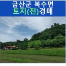 복수초등학교용진분교장 | 2023타경5304) 충청남도 금산군 복수면 용진리 455 토지(전) 경매물건입니다