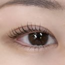 파스텔뷰티 | 대구 대명동 유지력 좋은 속눈썹펌 파스텔뷰티 | 듀얼펌 솔직후기