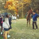 목암중학교 이미지