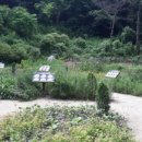 용왕산실내배드민턴장