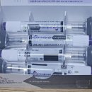 신데렐라 | 마운자로 , 신데렐라주사 후기! (내돈내산)