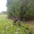 태극건설중기 이미지