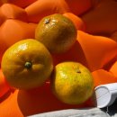 가을노을B | [캠핑] 가을 비, 대왕 무지개가 뜬 노을캠핑장 B-21후기~