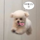 둥지나래 | 아드리안 로하스의 적군의 언어 전시 후기