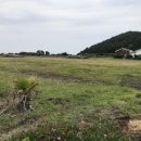 난산리-1 이미지