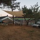 아이앤독 이미지