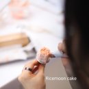 앙금플라워쿠키자격증반 | 대구 앙금플라워창업반 자격증반 7주차 수업후기 라이스문
