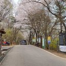 용마산역 이미지