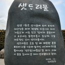 샛도리물 이미지