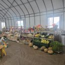 우재농장 | 김포 뒤란 방문후기