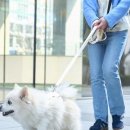 직접 향초 만드셨나요? 선물하면 안 됩니다…일상 속 위법 행위 4가지 이미지