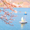 안동약국 이미지