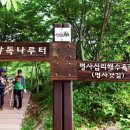 삼도목장 이미지