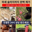 연안동사무소 네이버블로그