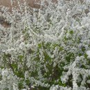 깊은 울림이 있는 팬플릇 이미지