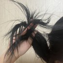 올리브헤어샵 - 전주시 완산구 백제대로 13 | 올리브영 추천 헤어폼 헤어오일 | 청담동 헤어샵에서 사용하는 파이브센스 헤어템 후기