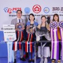 국제애견 이미지