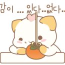 브라운빈 이미지