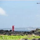 제주 토끼섬 문주란자생지 이미지