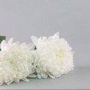 서부산부동산중개사무소 이미지