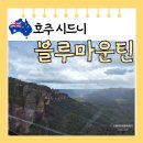 [호주 시드니] 여행 명소 유칼립투스 블루 마운틴 케이블카 시닉 레일 웨이 로프웨이 후기