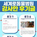 세계로 동물병원 이미지