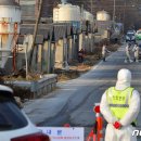 최창호농장 이미지