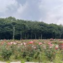 노적봉공원 화장실 이미지