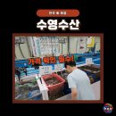 신선한 회 생각날 때 전주회 포장 서영수산
