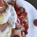 베리코스 이미지