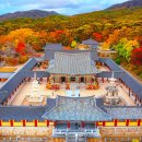 “해외 VIP들도 보고 말문이 막혔다”… 붉은 단풍으로 뒤덮인 1,200년 된 사찰 이미지