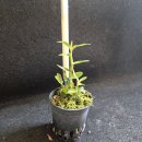 지일농장 이미지