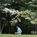 올바른 걷기 챌린지(노르딕 워킹) 아시아경제