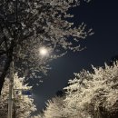 진광고사 | [또니어리] 26년 4월의 일기