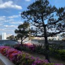 강남-159 이미지