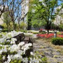 LG슈퍼렛 이미지