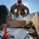 대영환경 이미지