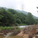 거북가든 이미지