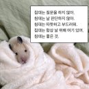 리안가구 이미지