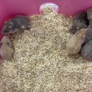 (주)모프 이미지