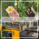 짜오마오 [예약방법/ 시내 맛집추천]/ Jino gifts / V스파 마사지 &amp; 나트랑 이발관 마사지 투어 솔직 후기