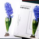 당신의 꽃그림 보테니컬 아트 이미지