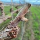 진일농장 이미지