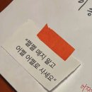 나경이네 | 25년 하반기부터 26년 시작일상을 모아모아~