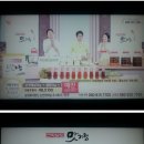 순천매실