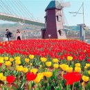 여수해양공원 이미지